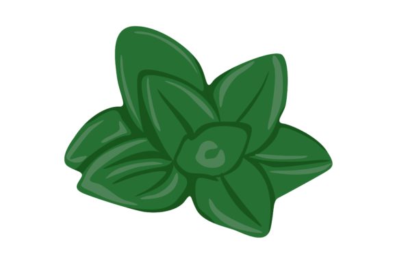 Download Green Oregano Leaves Illustration Vector - Vector Collection